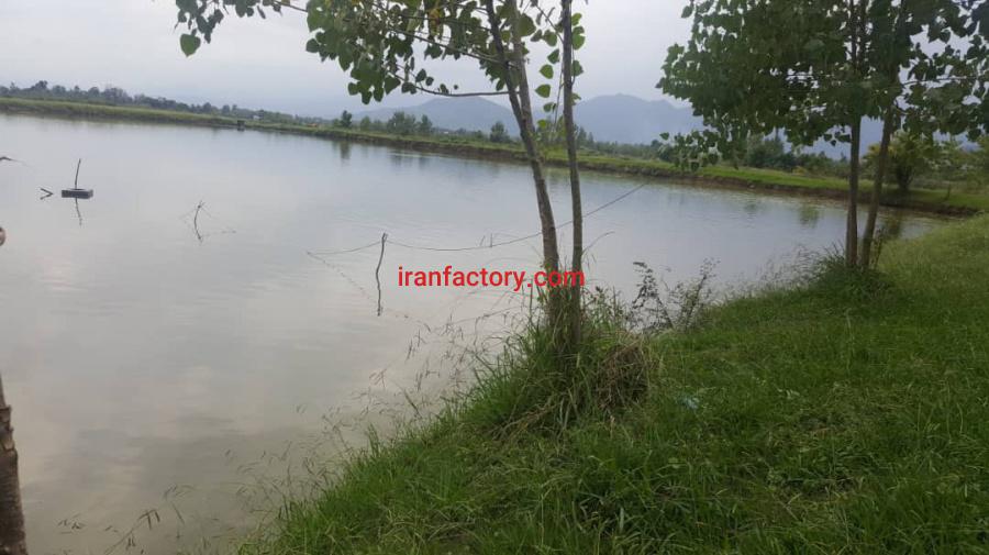 فروش استخر پرورش ماهی فومن استان گیلان1