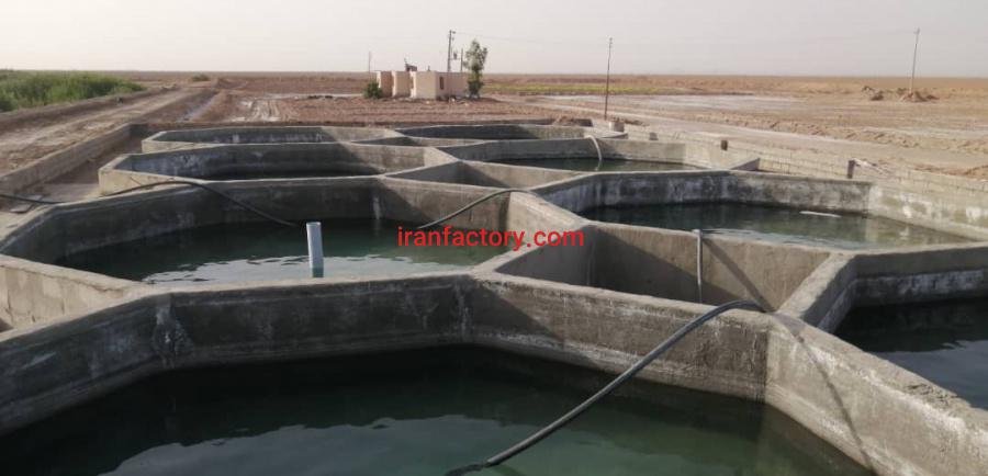 مزرعه پروش ماهیان خاویاری یزد6