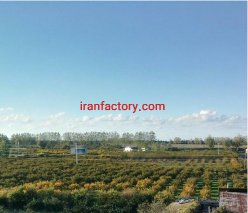 فروش 20000 متر باغ شلیل و حوضچه پرورش ماهی در ساری3