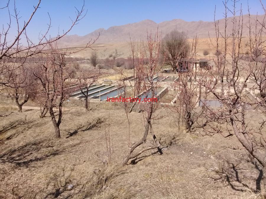 فروش پرورش ماهی در سمیرم3