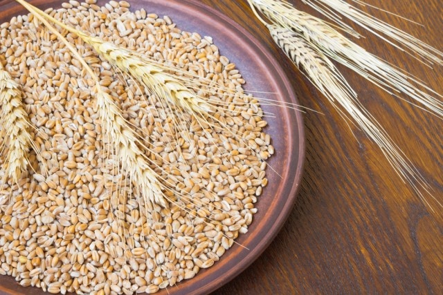 خرید و فروش آرد صادراتی و آرد دامی صادراتی6