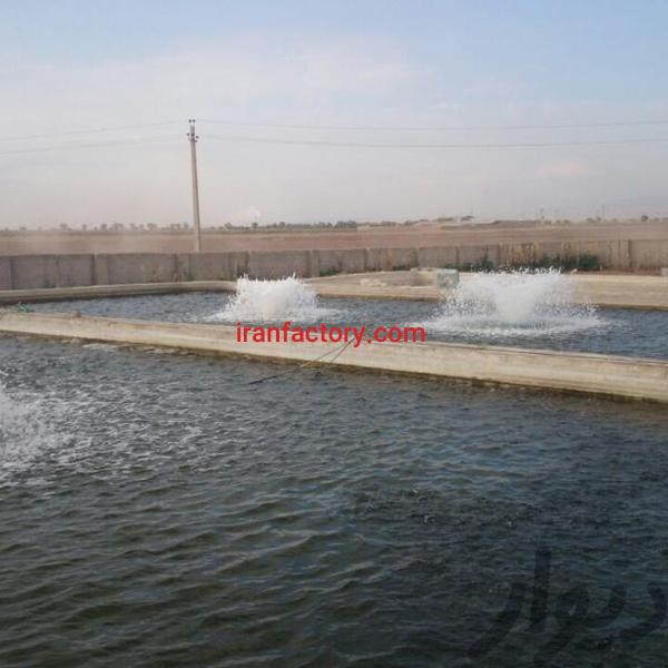 فروش استخر پرورش ماهی در تهران1