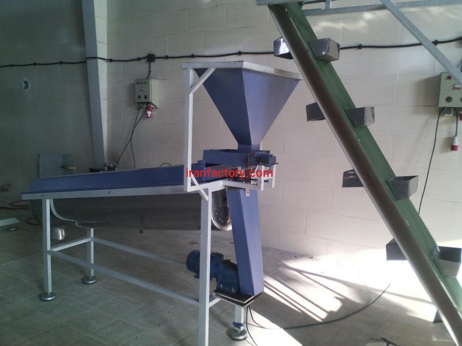 گلدانه  پاسار گاد6