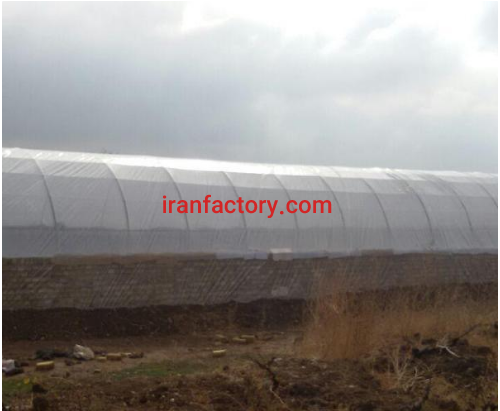 فروش دو هکتار استخر پرورش ماهی و گلخانه در قزوین2