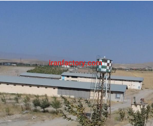 دامداری 40 هکتار در زنجان3