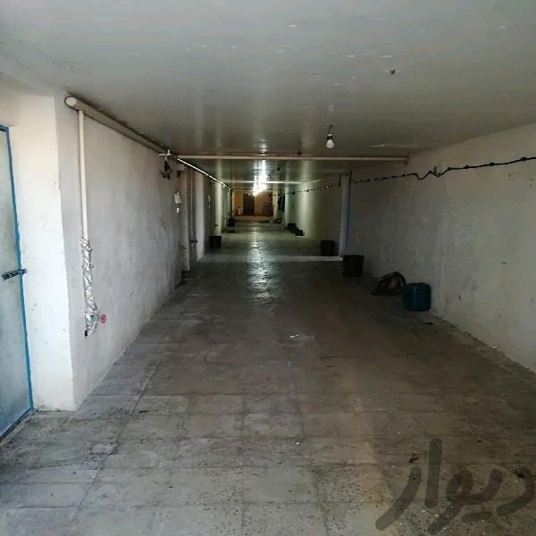 فروش کارخانه قارچ خوراکی در اراک3