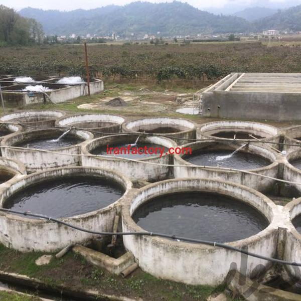 فروش استخر پرورش ماهی در تالش2