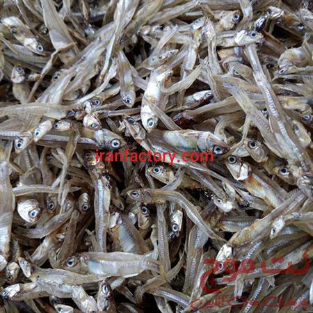 خرید و فروش پودر ماهی و میگو و ماهی خشک در بندر عباس3