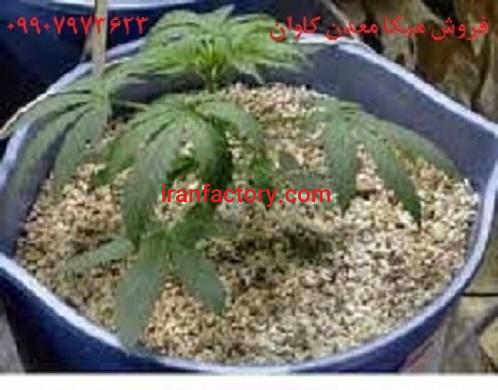 خرید- فروش ورمیکولیت(Vermiculite) کشاورزی معدن کاوان0
