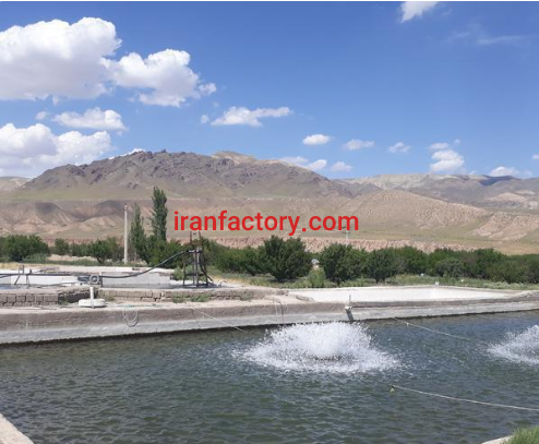 فروش 20000 متر پرورش ماهی فعال در ماهنشان زنجان4