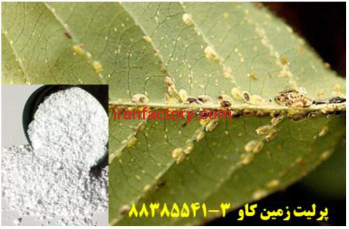 پرلیت در تولید سموم و آفت کش ها Perlite0