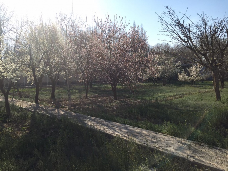 فروش ویلا محمد شهر کرج0