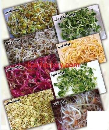 بهترین برند دستگاه تولید جوانه و محیط کشت2