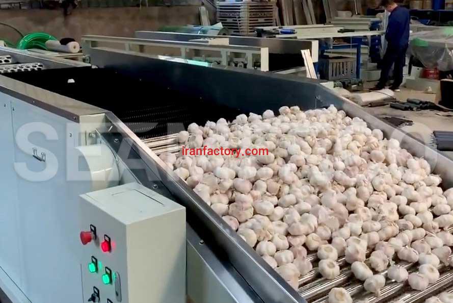 سازنده خط تولید ترشی سیر سیمرکو تهران0