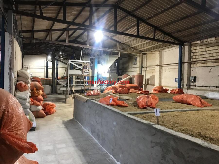 کارخانه شالیکوبی در لاهیجان5