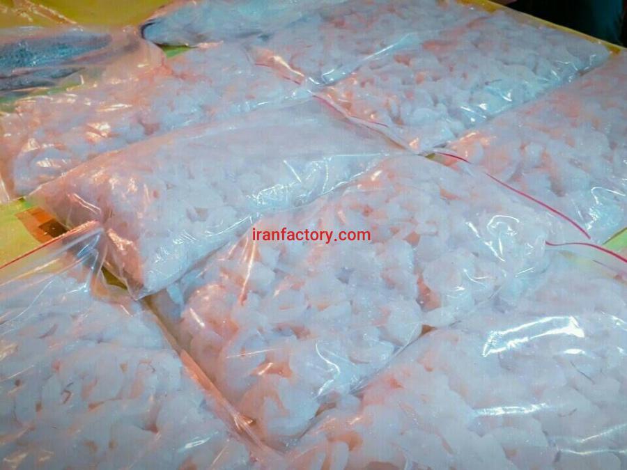 ابزیان صید روز جنوب1