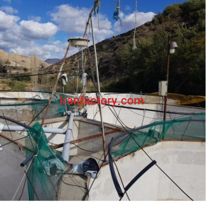 فروش 8500 متر پرورش ماهی قزل آلا در کیاسر2