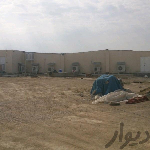 فروش کارخانه قارچ خوراکی در بوشهر4