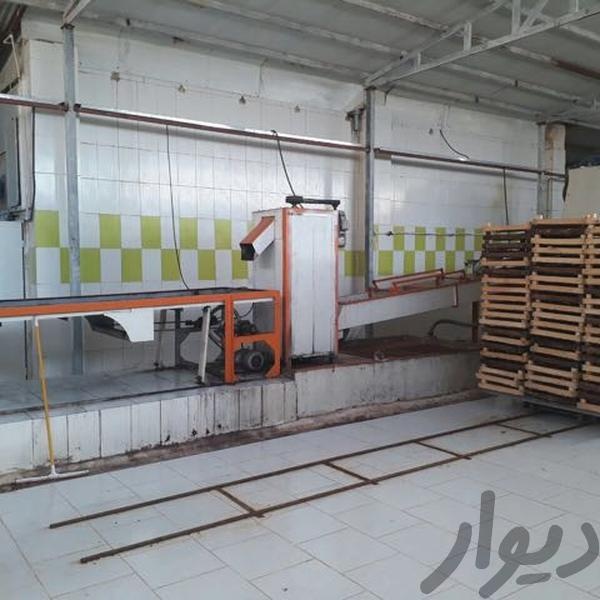 فروش کارخانه در کرمانشاه1