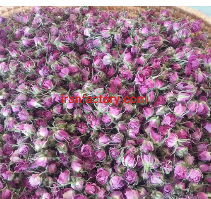 تولید گلاب و عرقیات در گلپایگان0