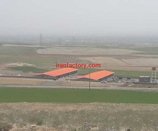 فروش مرغداری بیست هزاری در همدان0