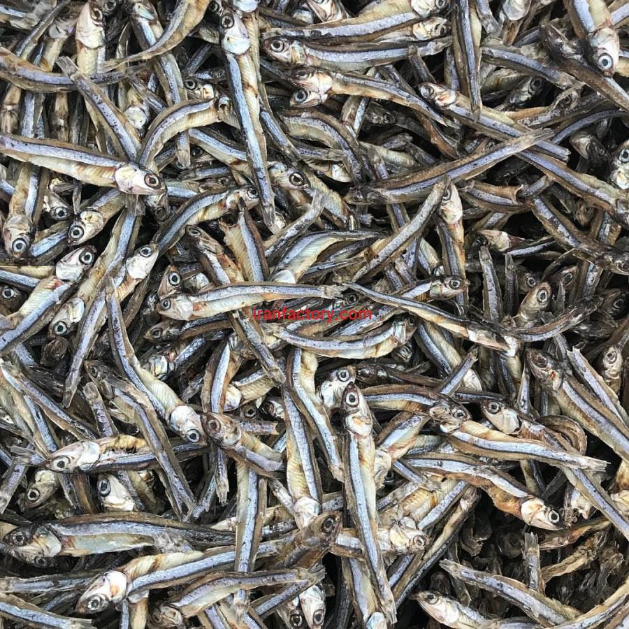 فروش ماهی متو صادراتی درجه یک0