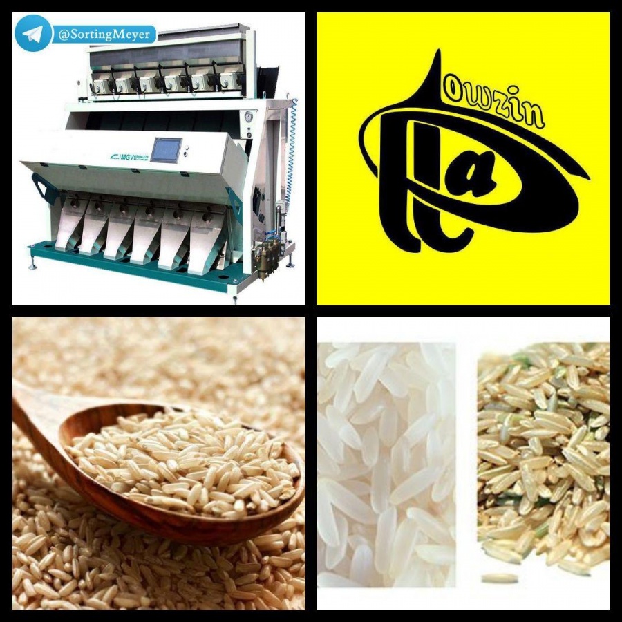 نمایندگی دستگاه سورتینگ برنج Meyer در استان گیلان0