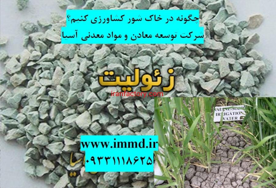 چگونه در خاک شور با کمک زئولیت کشاورزی کنیم؟0