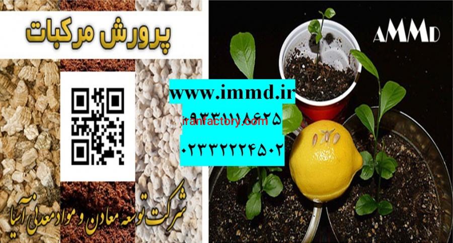 فروش بستر کشت نهال مرکبات0