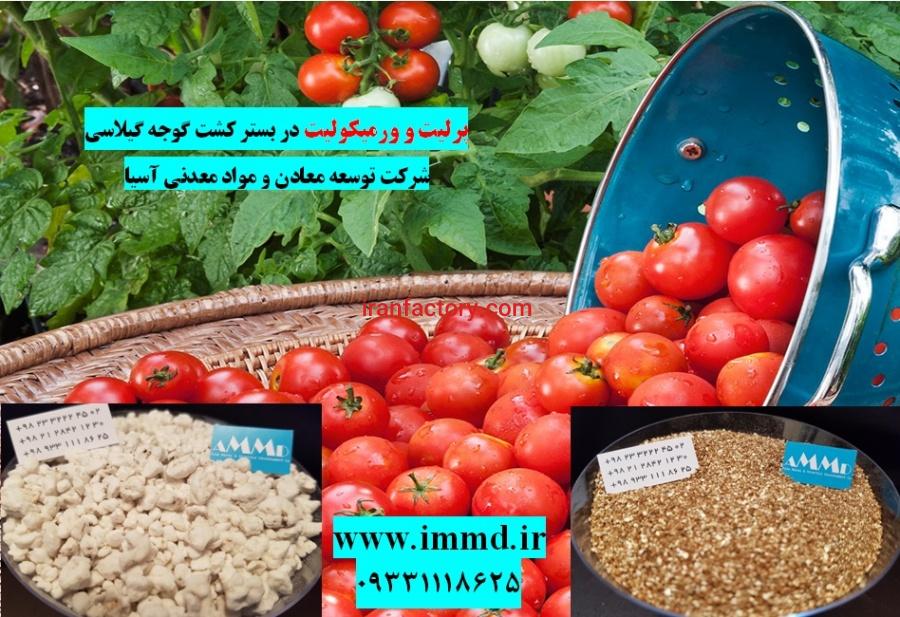 فروش پرلیت و ورمیکولیت در بستر کشت هیدروپونیک0