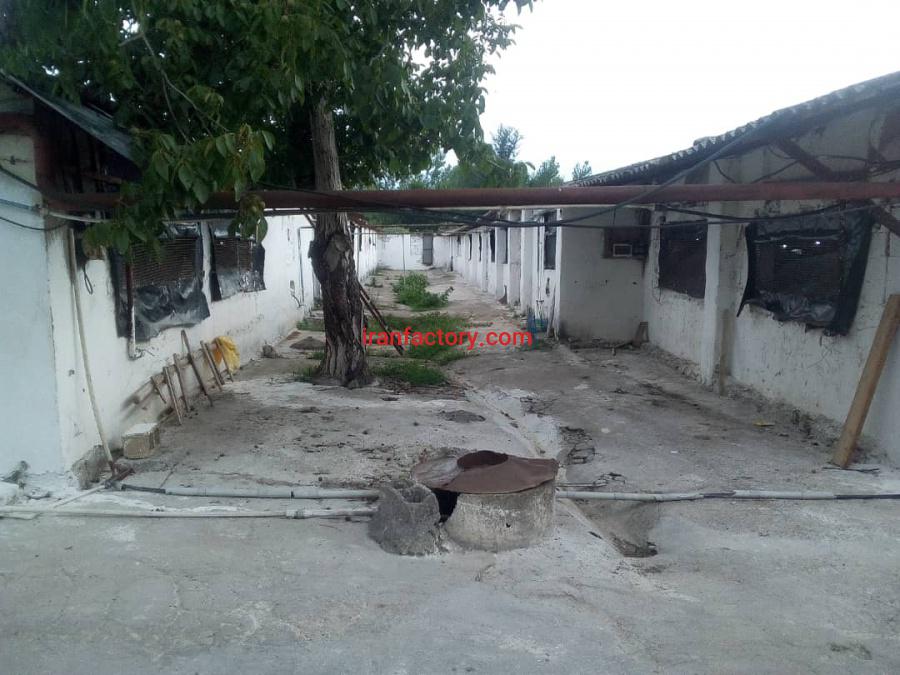 فروش مرغداری در صومعه سرا6