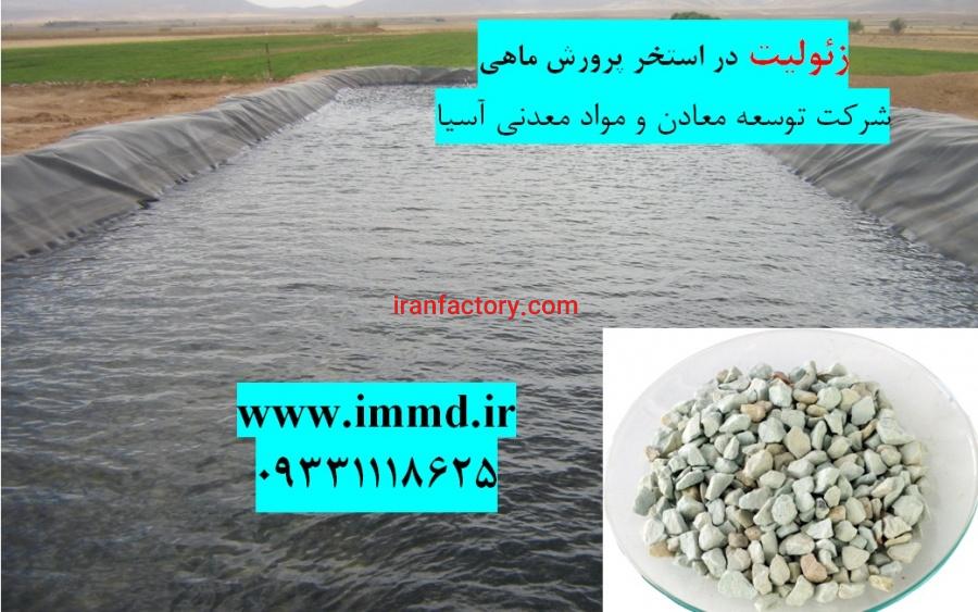 فروش زئولیت بستر پرورش ماهی0