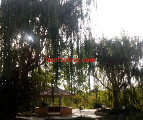 فروش 20000 متر  مجموعه صنعتی وکشاورزی در کرج4