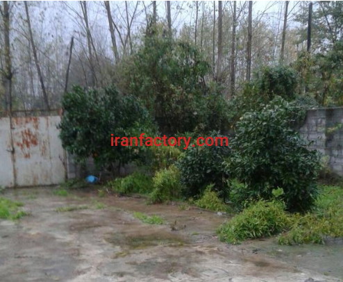 فروش 1000دامداری در رشت4