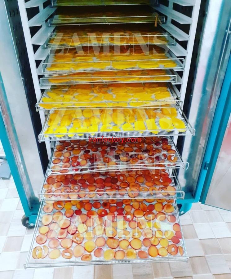 دفتر فروش دستگاه تولید چیپس میوه2