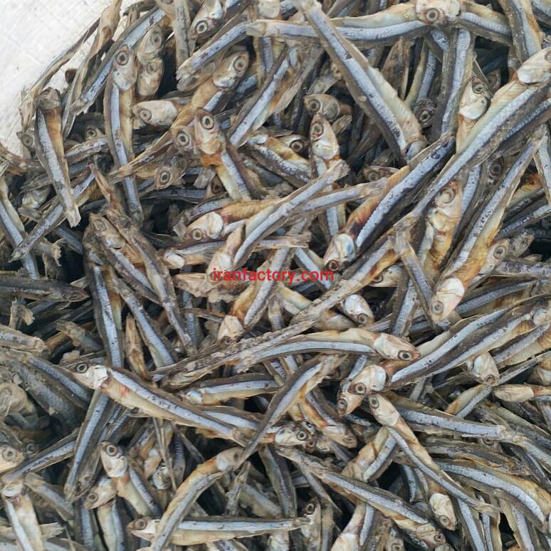 خرید و فروش عمده پودر ماهی2