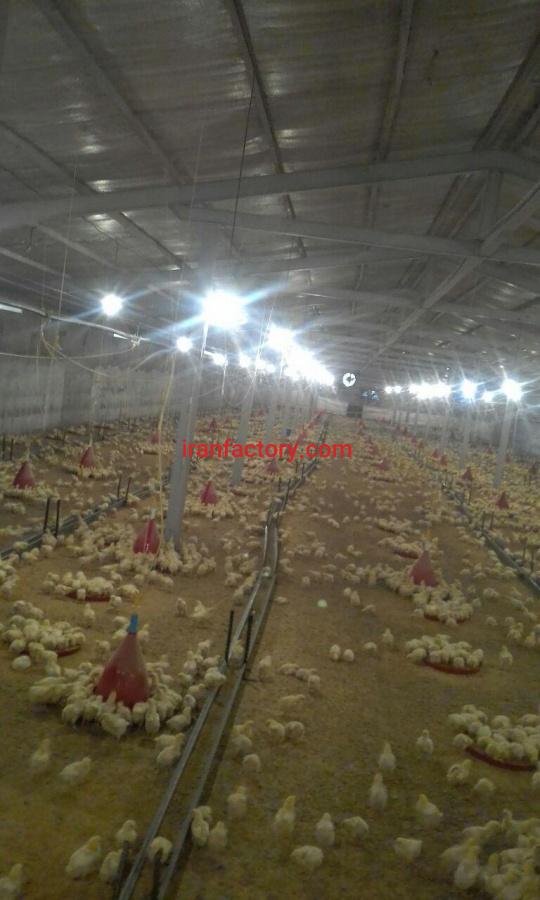 اجاره مرغداری مادر در خلخال0