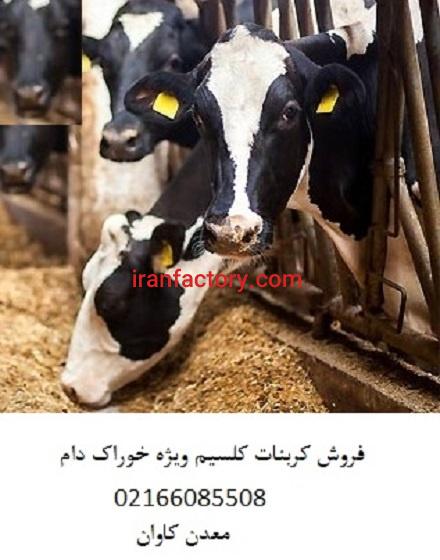 خرید کربنات کلسیم خوراک  دام- فروش کربنات کلسیم معدن کاوان0