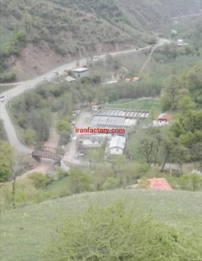 فروش پرورش ماهی سردآبی در گیلان3