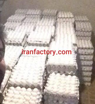 فروش مرغداری تخم گذار در تهراندشت3