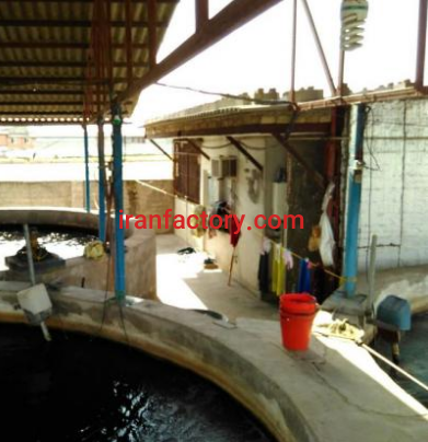 فروش 480 متر جایگاه استخر ماهی مختص قزل آلا براری در ساری0