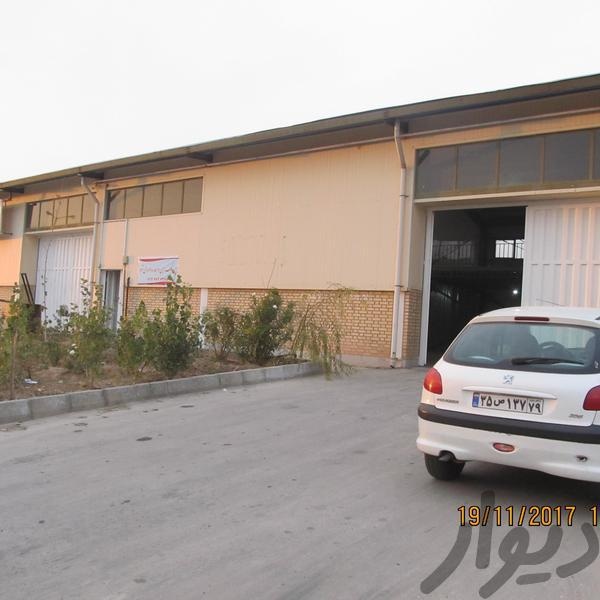 فروش سوله 380 متری در بندرعباس3