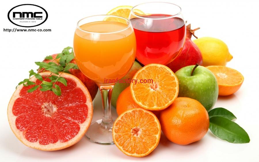 ماشین آلات خط تولید و بسته بندی آبمیوه , پوره میوه1