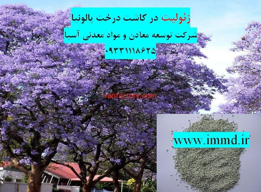 فروش زئولیت در کاشت درخت پالونیا0