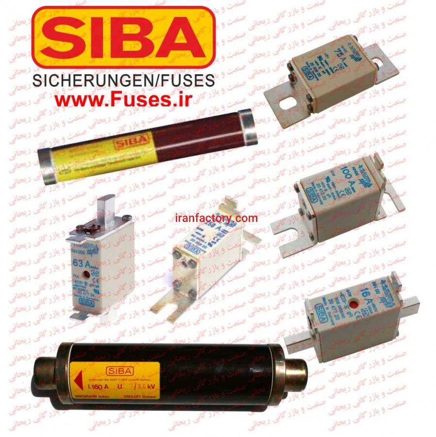 نماینده فیوز بوسمن انگلستان0