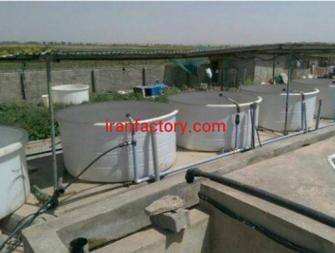 فروش 2000 متر پرورش ماهی قزل آلا و باغ در آبیک قزوین1