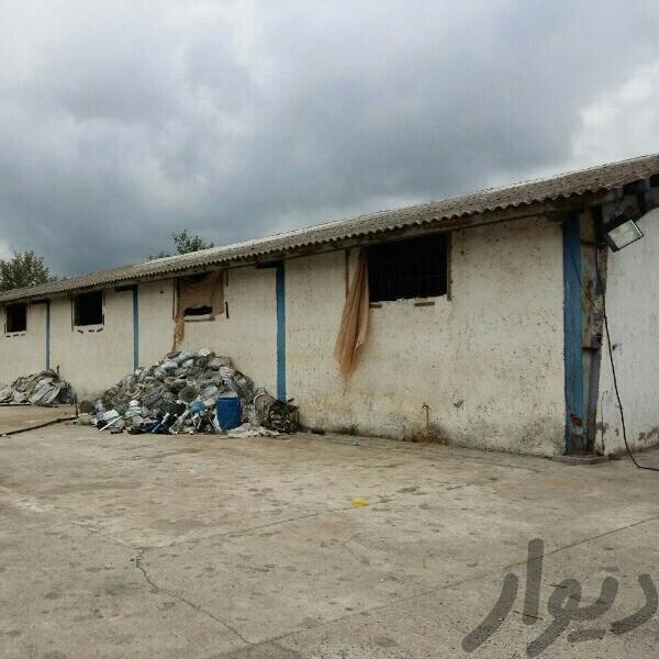 فروش سوله در رشت1