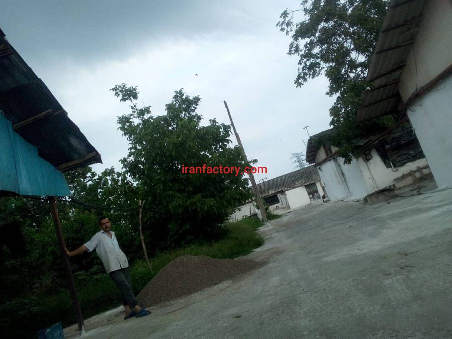 فروش مرغداری در صومعه سرا5