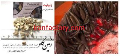 زئولیت، سود آوری و آرامش بیشتر در پرورش زالو (Zeolite)0