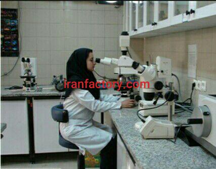 فروش پودرهای کربنات کلسیم2